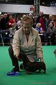 Crufts2011_2 1130